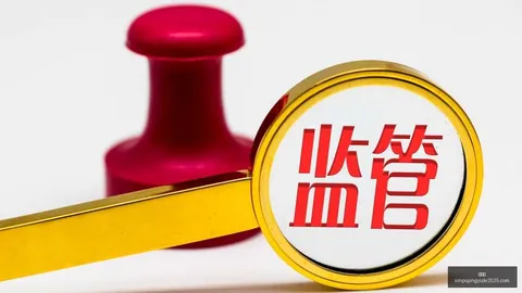 迪拜航空副驾驶涉嫌恐怖活动：阿联酋检方揭露惊人真相